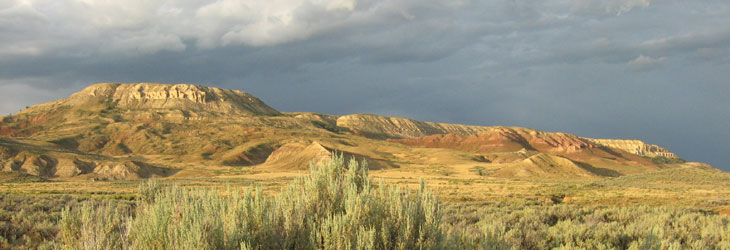 Fossil Butte National Monument